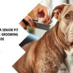 Caring for a Senior Pit Bull Rescue: Grooming Guide