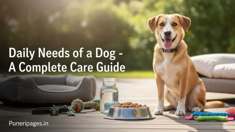 A happy, healthy dog surrounded by food, water, toys, and care essentials representing the daily needs of a dog.