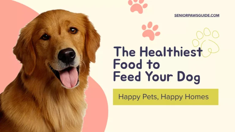 Golden retriever eating a healthy meal of chicken, vegetables, and rice — representing the healthiest food to feed a dog — from seniorpawsgide.com.