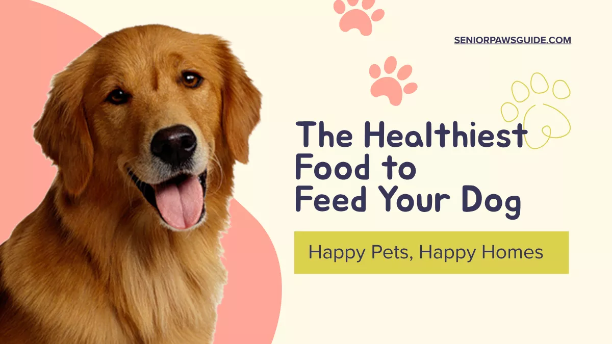 Golden retriever eating a healthy meal of chicken, vegetables, and rice — representing the healthiest food to feed a dog — from seniorpawsgide.com.