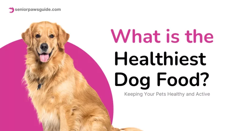 What is the healthiest dog food 2025 – nutritious natural dog meal